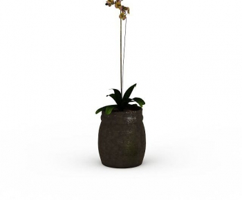 Modern Potted Green Plant-ID:512180343