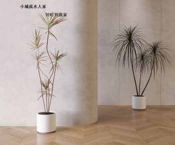现代落地绿植盆栽组合-ID:426939014