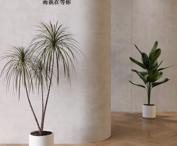 现代落地绿植盆栽组合-ID:237736943