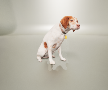 Modern Animal Dog-ID:635091076