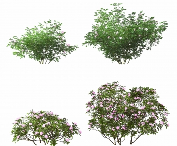 Modern Shrubbery-ID:117177968