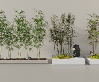 Modern Bamboo-ID:240031004
