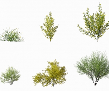 Modern Shrubbery-ID:298393013