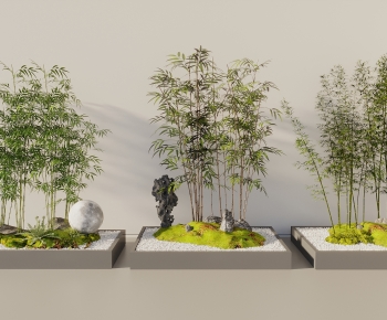Modern Bamboo-ID:673759941