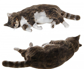 Modern Animal Cat-ID:602727893