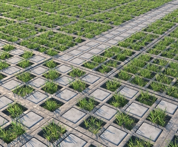 Modern Garden-ID:655620134