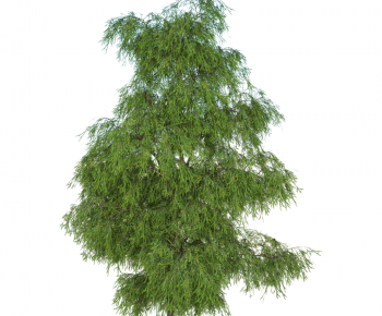 Modern Tree-ID:768227102