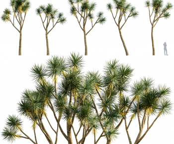 Modern Tree-ID:732450579