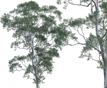 Modern Tree-ID:923223029