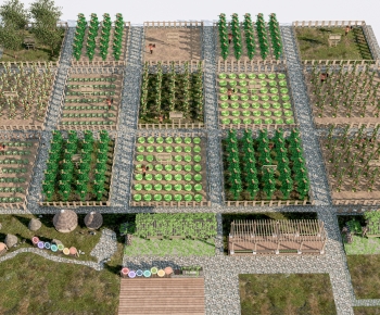 Modern Crop-ID:753747948