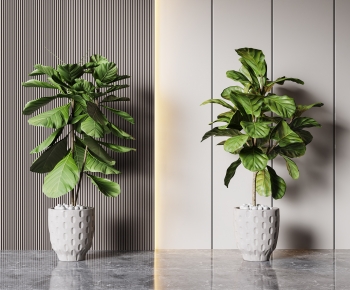 Modern Ground Green Plant Potted Plants-ID:409624106