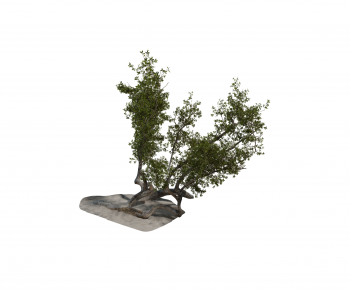 Modern Tree-ID:830389985