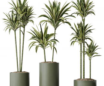 Modern Ground Green Plant Potted Plants-ID:494890268