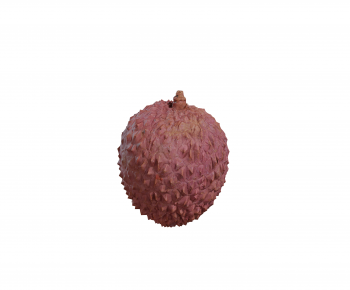 现代荔枝-ID:539645911