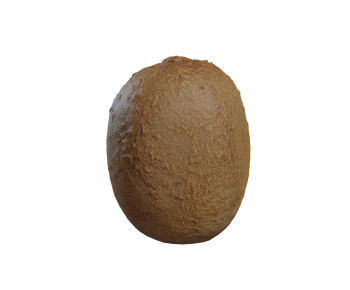 Modern Fruit-ID:746779434