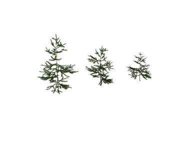 Modern Tree-ID:963263037