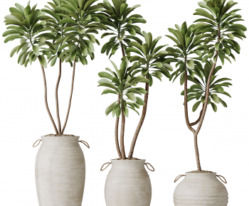 Modern Ground Green Plant Potted Plants-ID:133189928