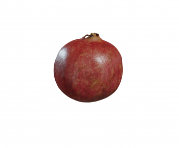 Modern Fruit-ID:653289085