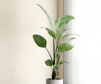 Modern Ground Green Plant Potted Plants-ID:789300921