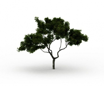 Modern Tree-ID:981827976