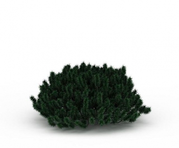Modern Shrubbery-ID:163754949