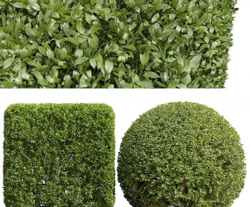 现代灌木绿植组合-ID:830615049