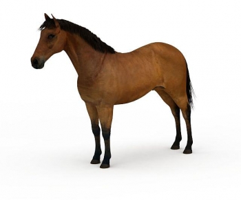 Modern Animal Horse-ID:102539063