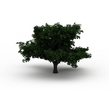 Modern Tree-ID:506064895