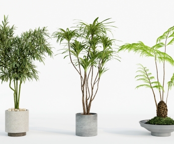 Modern Ground Green Plant Potted Plants-ID:290074114