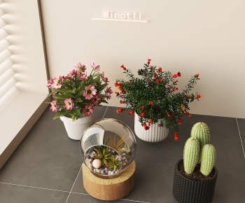 Modern Desktop Plant-ID:497293009