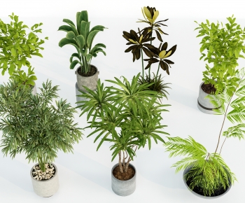 Modern Ground Green Plant Potted Plants-ID:691975128