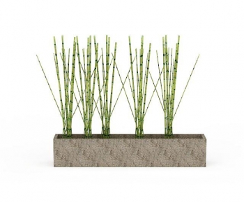 Modern Bamboo-ID:619911919