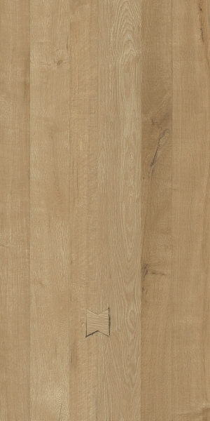 ModernWood Texture
