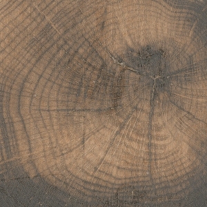 ModernOld Wood Texture