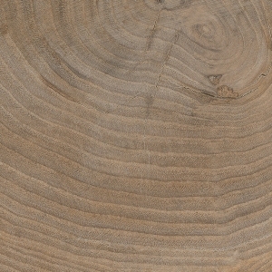 ModernOld Wood Texture