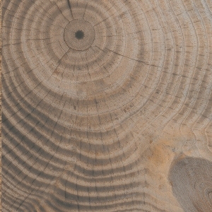 ModernOld Wood Texture
