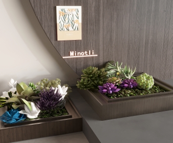 Modern Plant Landscaping-ID:788202056