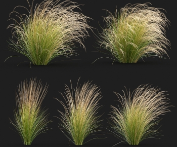 Modern The Grass-ID:679012069
