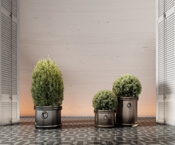 Modern Ground Green Plant Potted Plants-ID:569192893