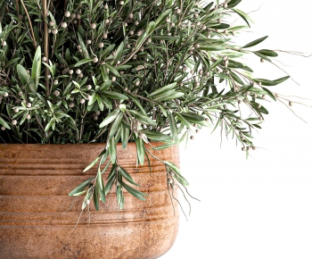 Modern Potted Green Plant-ID:543540009