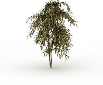 Modern Tree-ID:479974998