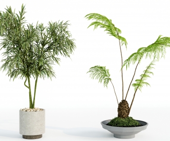 Modern Ground Green Plant Potted Plants-ID:661107064