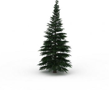 Modern Tree-ID:538616901