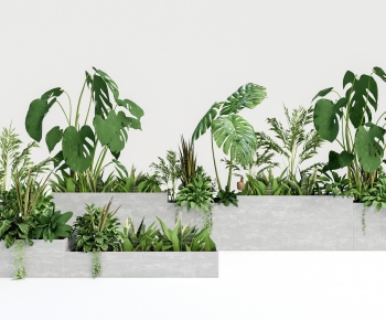 Modern Flower Bed, Flower Bowl, Flower Box-ID:146578072