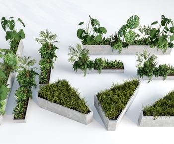 Modern Flower Bed, Flower Bowl, Flower Box-ID:115499519