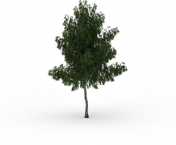 Modern Tree-ID:576083908