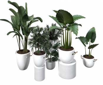 Modern Ground Green Plant Potted Plants-ID:886029019