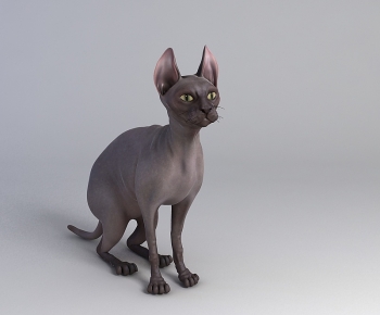 Modern Animal Cat-ID:832788952