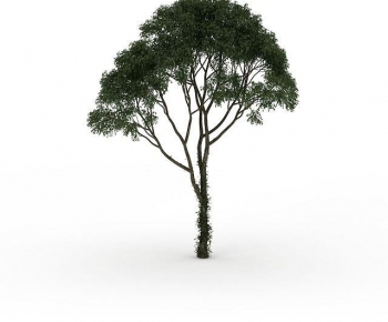 Modern Tree-ID:796838055