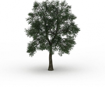 Modern Tree-ID:114200177